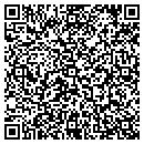 QR code with Pyramidical Vending contacts