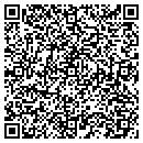 QR code with Pulaski Dental Lab contacts