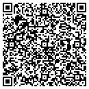 QR code with Project Vida contacts