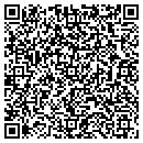 QR code with Coleman Deep Steam contacts
