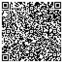 QR code with Pro Trans Intl contacts