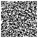 QR code with Premier Services contacts