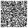 QR code with STEPS contacts