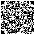 QR code with Mstn contacts