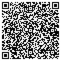 QR code with Shell contacts