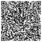 QR code with Pulaski Performing Arts Center contacts