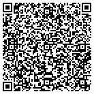 QR code with PMI Systems Integrators contacts