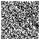 QR code with Pulaski Water Department contacts