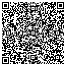 QR code with Pro Painters contacts