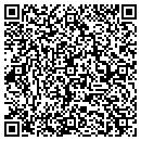 QR code with Premier Concepts LLC contacts