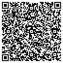 QR code with Capelli's Pizza & Sub contacts