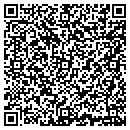 QR code with Proctection One contacts
