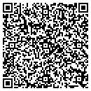 QR code with Public Storage contacts