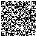 QR code with Pilot contacts