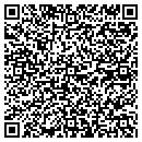 QR code with Pyramid Electronics contacts