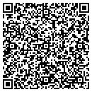 QR code with Proctection One contacts