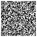 QR code with Pulstron Corp contacts