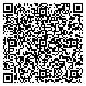 QR code with Haldex contacts