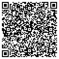 QR code with Ingles contacts