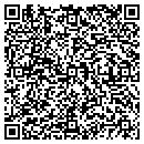 QR code with Catz Construction Inc contacts