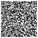 QR code with Program Cars contacts