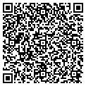 QR code with Pilot contacts
