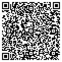 QR code with Codis contacts
