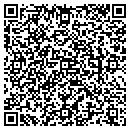 QR code with Pro Therapy Service contacts