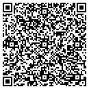 QR code with Publicis Dilaog contacts