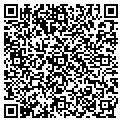 QR code with U Wash contacts