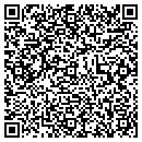 QR code with Pulaski Steel contacts