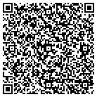 QR code with Blue Creek Systems Inc contacts