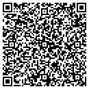 QR code with Premier Concepts contacts