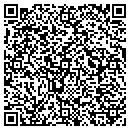 QR code with Chesney Construction contacts
