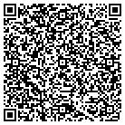 QR code with Professional Ind Billing contacts