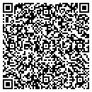 QR code with Bristol Batting Cages contacts