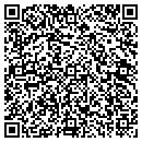 QR code with Protection Unlimited contacts
