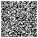 QR code with Puzzlevision Inc contacts