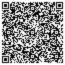 QR code with Pro 2 Serv Inc contacts