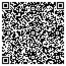 QR code with Carson Architect Inc contacts