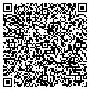 QR code with Carpet Plus & Design contacts