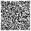 QR code with Pyramid Pawn & Sales contacts