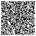 QR code with Allnew contacts