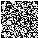 QR code with C & V Carrier contacts