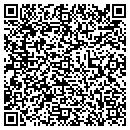 QR code with Public School contacts