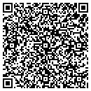 QR code with Castro Color Studios contacts