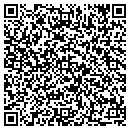 QR code with Process Design contacts