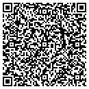 QR code with Progress Rail contacts