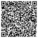 QR code with Pilot contacts