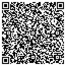 QR code with Pyramid Alarm System contacts